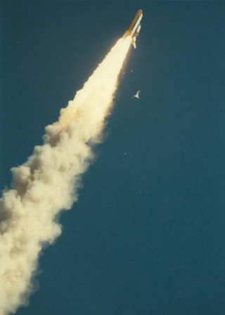 Illustration for article titled Long-Forgotten Photographs Reveal Challenger Disaster As It Happened